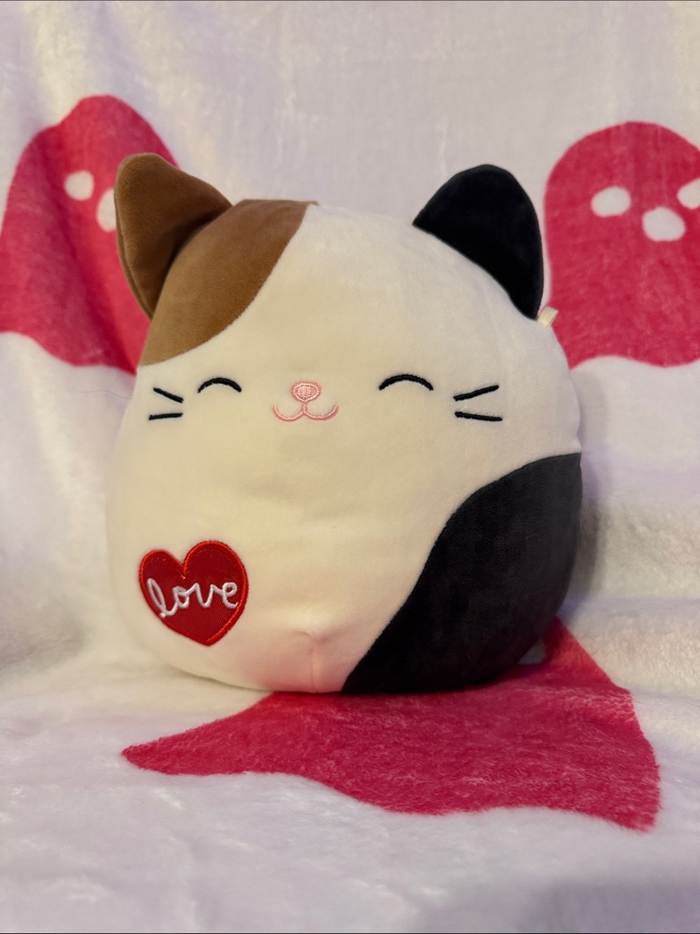 Love Cam Squishmallows